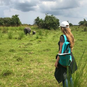 Experience an Encounter with Rhinos on foot at Ziwa Rhino Sanctuary