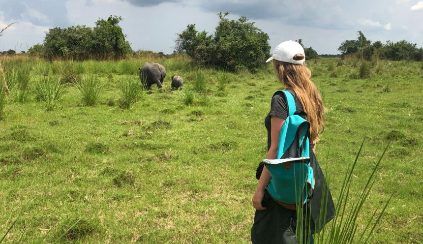 Experience an encounter with rhinos on foot at Ziwa Rhino sanctuary