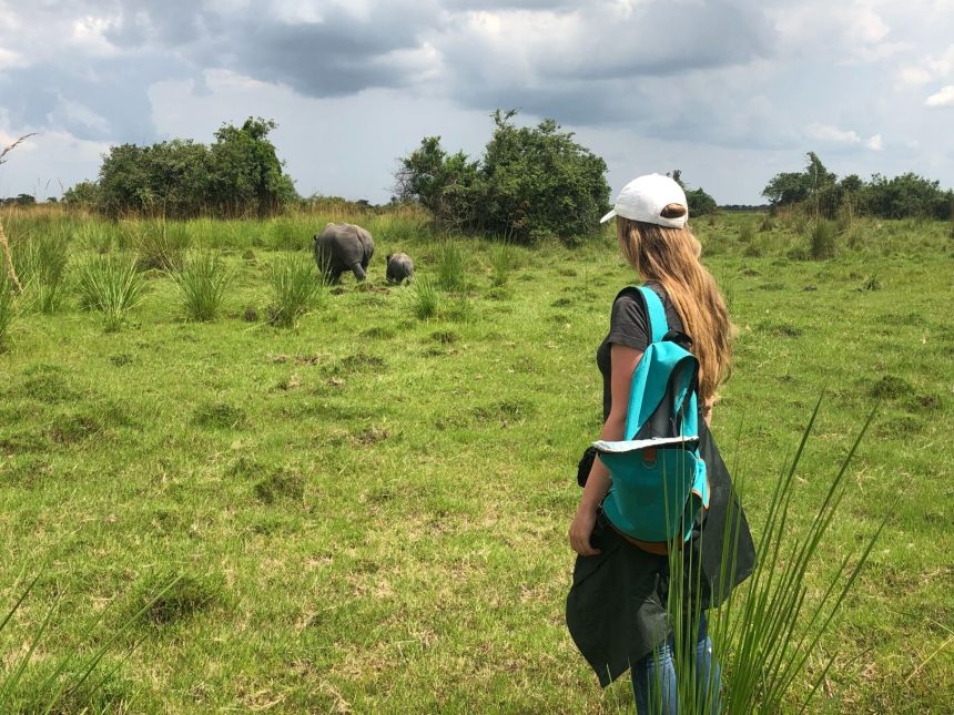 Experience an Encounter with Rhinos on foot at Ziwa Rhino Sanctuary