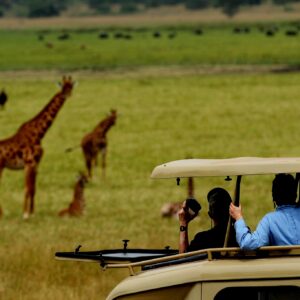 STAYING SAFE ON A SAFARI