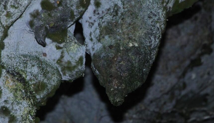 AMABERE GA NYINA MWIRU CAVES AMABERE GA NYINA MWIRU CAVES