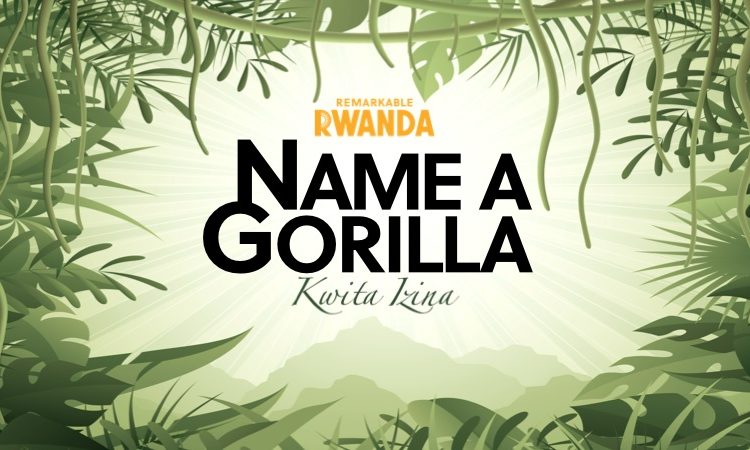 KWITA IZINA: Naming Baby Gorillas