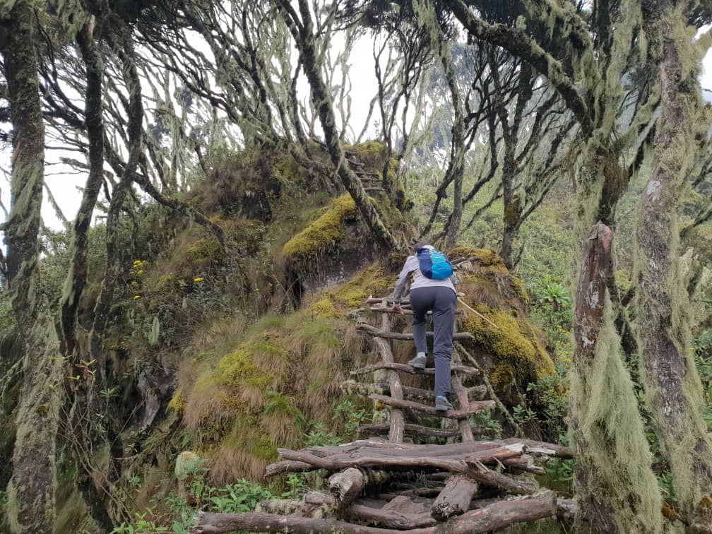 Volcano Climbing in Mgahinga National Park