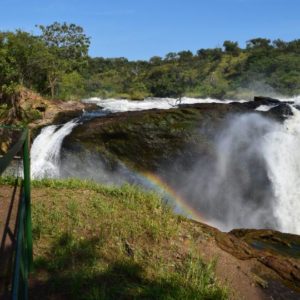 3-Day Murchison Falls Big Five With Chimpanzee Trekking