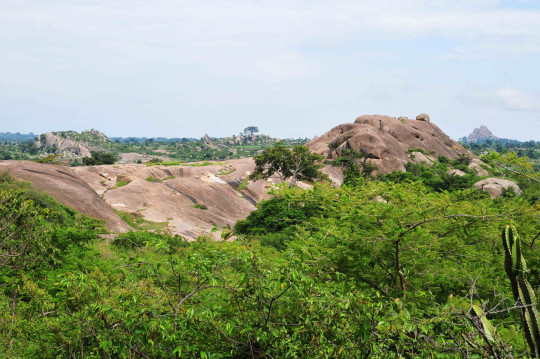 Nyero Rock Paintings