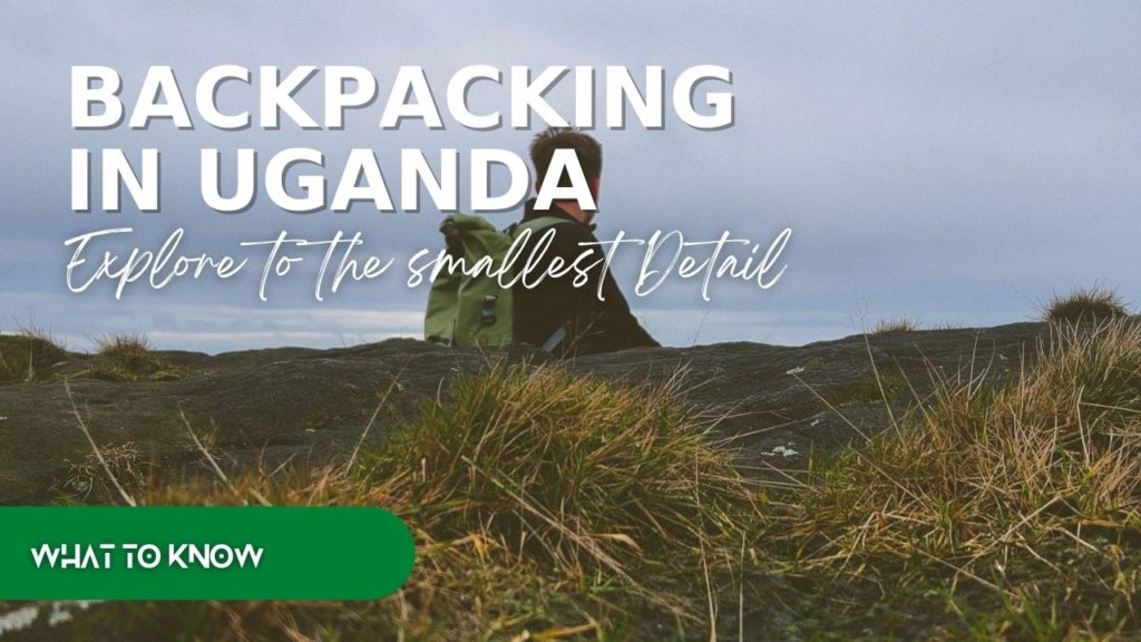 backpackers tours uganda